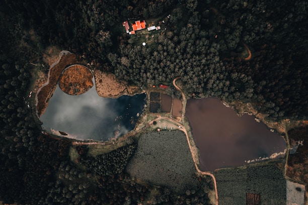 An aerial view of a landscape featuring a dense forest surrounding several bodies of water. The image includes a circular pond with marshland around it and two larger, irregularly shaped ponds or lakes. A small residential area with several buildings featuring red roofs is visible near the top of the image. There are clearly defined pathways and roads interconnecting the various parts of the landscape.