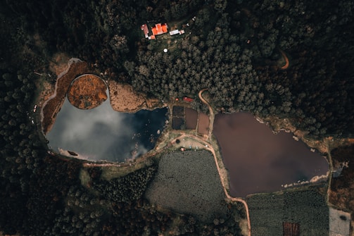 An aerial view of a landscape featuring a dense forest surrounding several bodies of water. The image includes a circular pond with marshland around it and two larger, irregularly shaped ponds or lakes. A small residential area with several buildings featuring red roofs is visible near the top of the image. There are clearly defined pathways and roads interconnecting the various parts of the landscape.