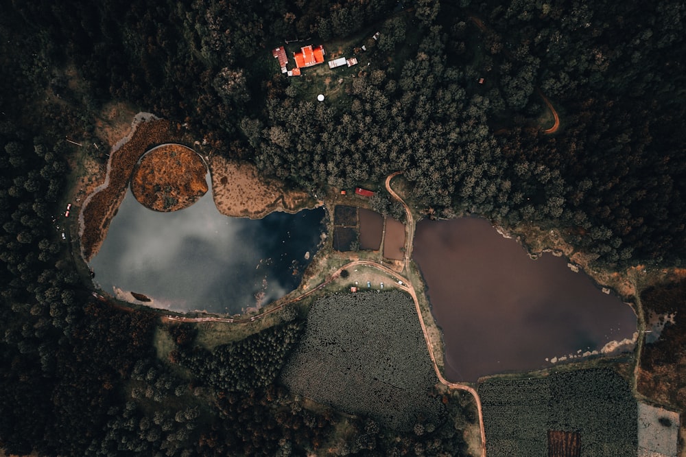 an aerial view of a lake surrounded by trees