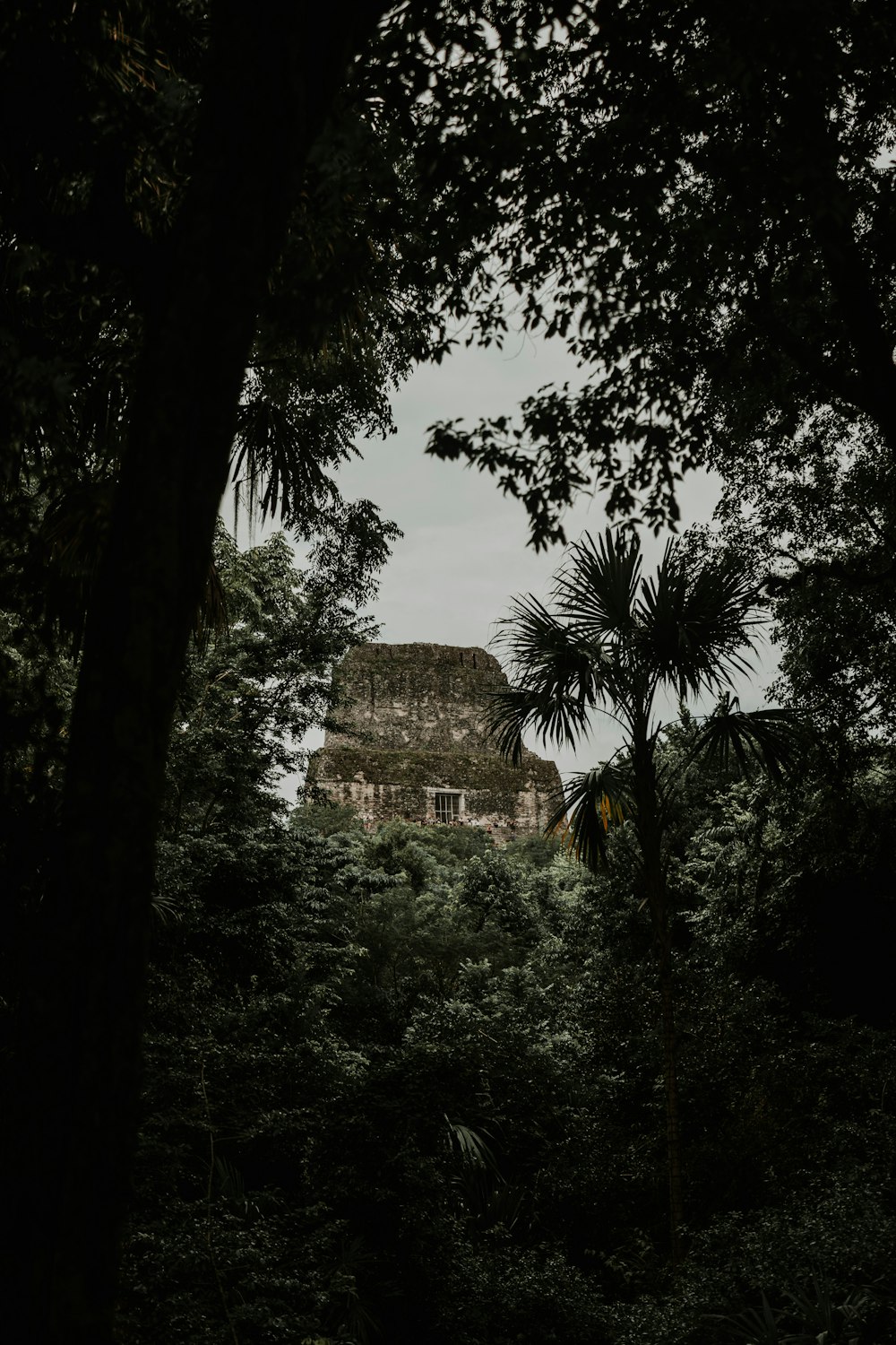 a building in the middle of a forest