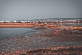 A tranquil landscape featuring a wide expanse of wetlands with shallow water, surrounded by a variety of grasses and plant life. In the distance, there are buildings along the coastline under a clear sky. A few people can be seen walking along a narrow path that cuts through the wetland area. Mountains can be seen on the horizon.
