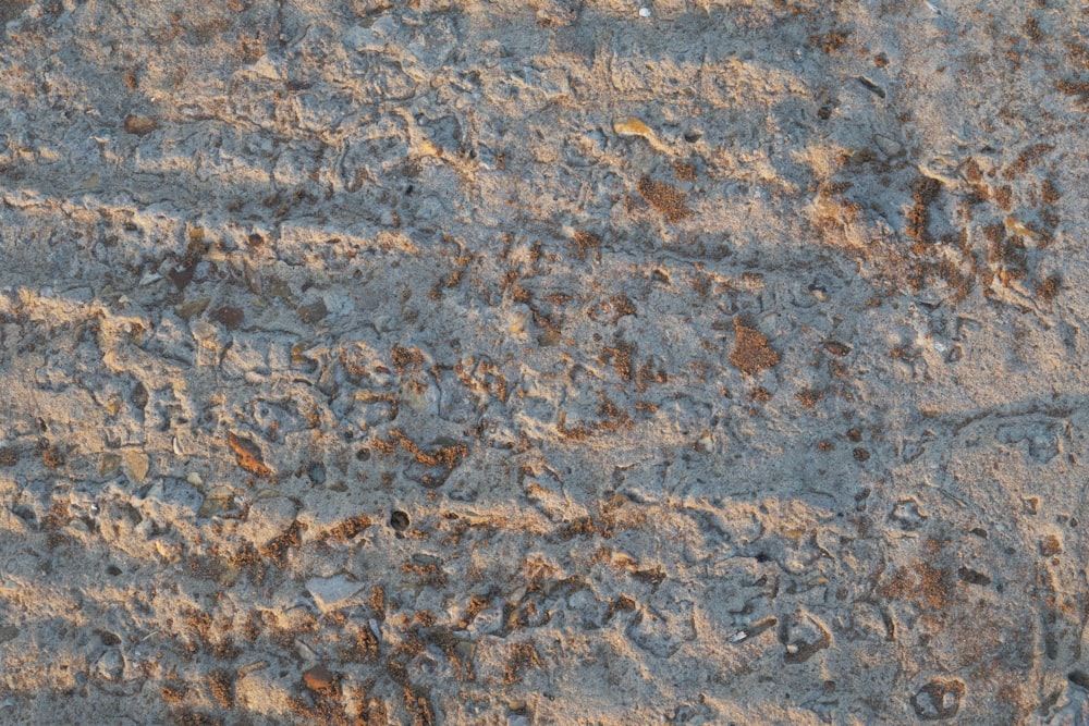 a close up of a rock surface with small rocks