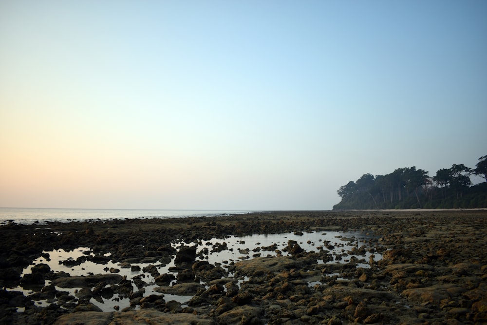 a body of water surrounded by rocks and trees