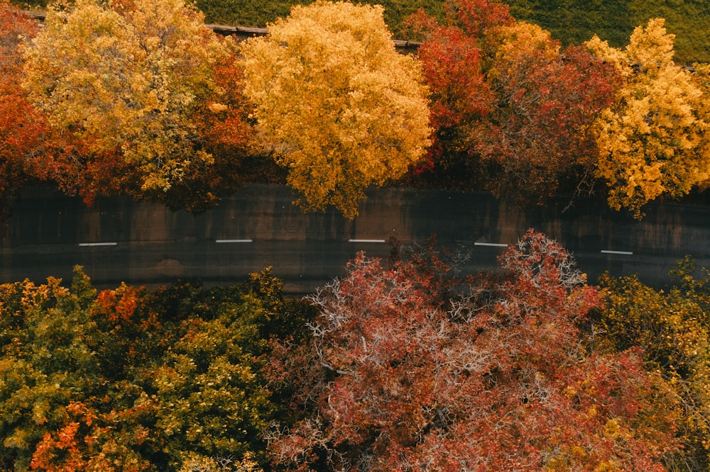 an aerial view of a road surrounded by trees