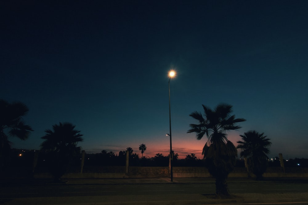 a street light with palm trees in the background