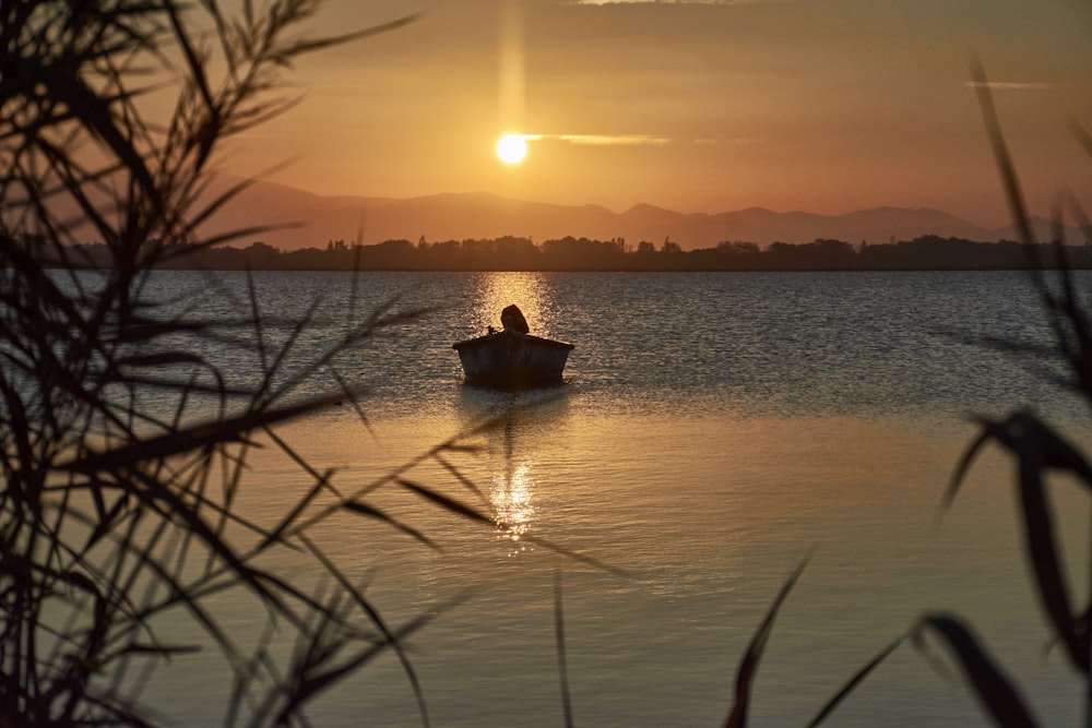 a person in a small boat on a body of water