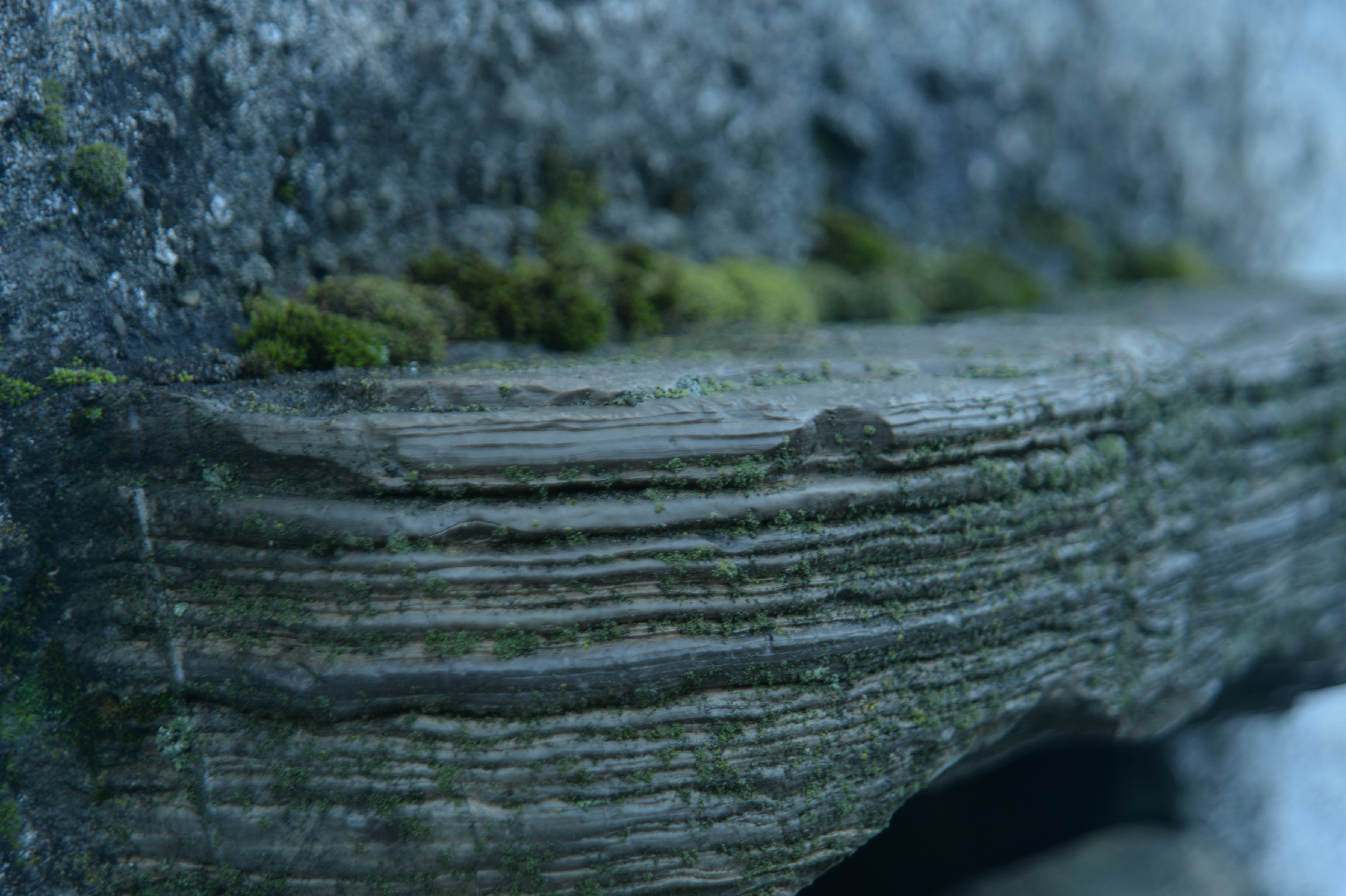 Photo by baliko_andras