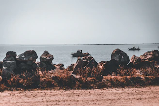 A serene landscape of Chubut's coastline with traditional fishing boats moored at dawn.