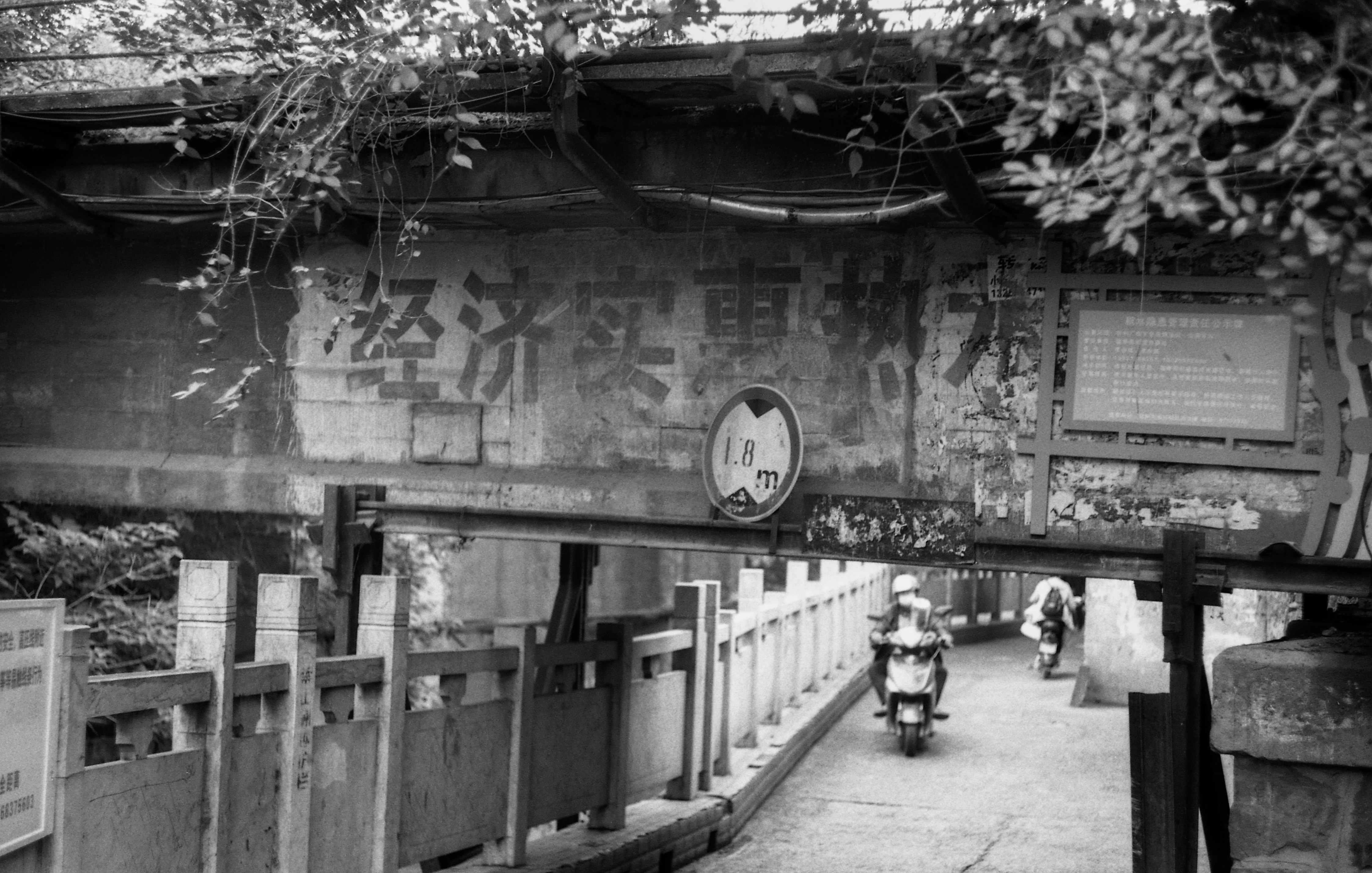 Photo by 00vsy