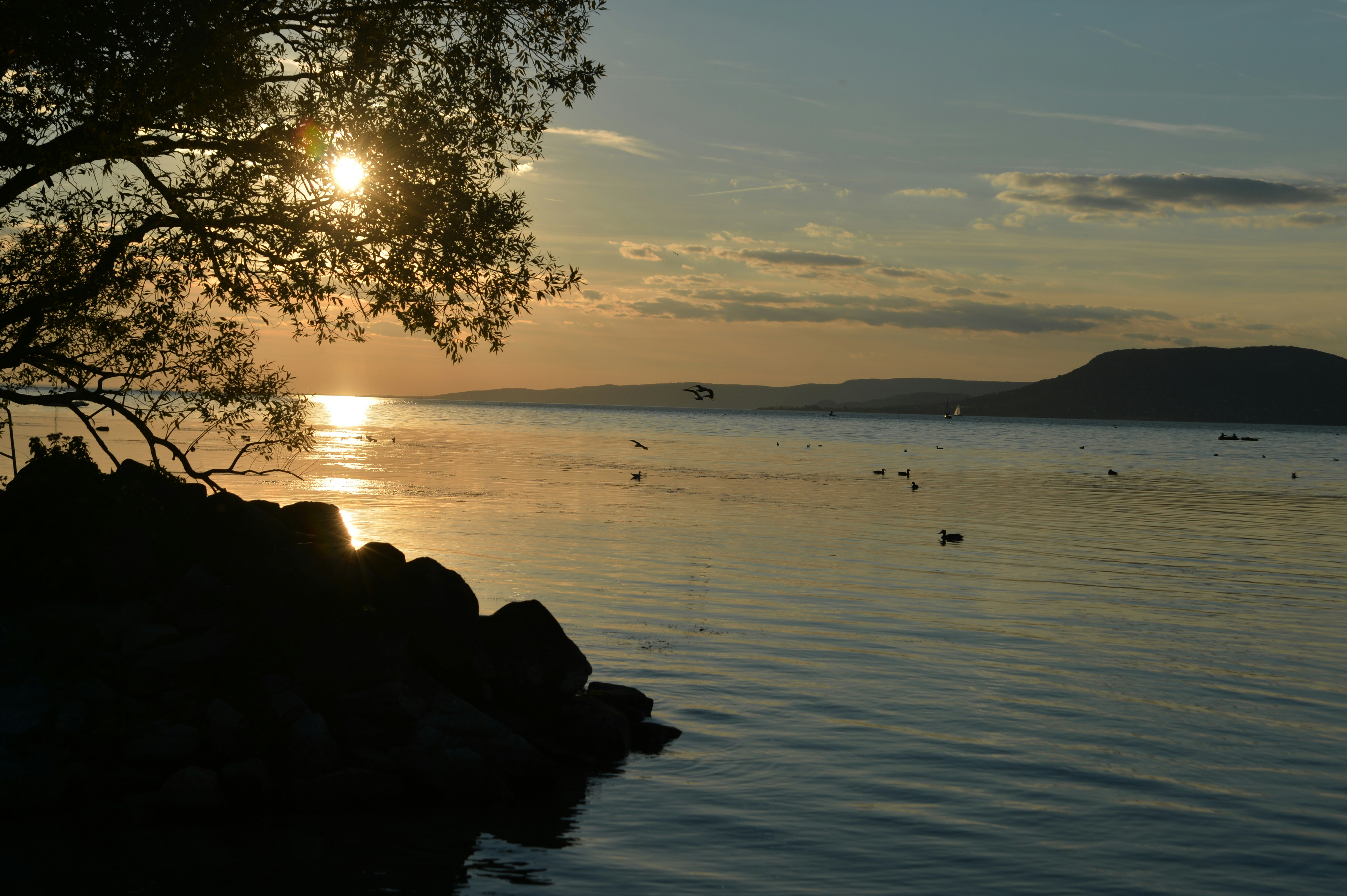 Photo by baliko_andras