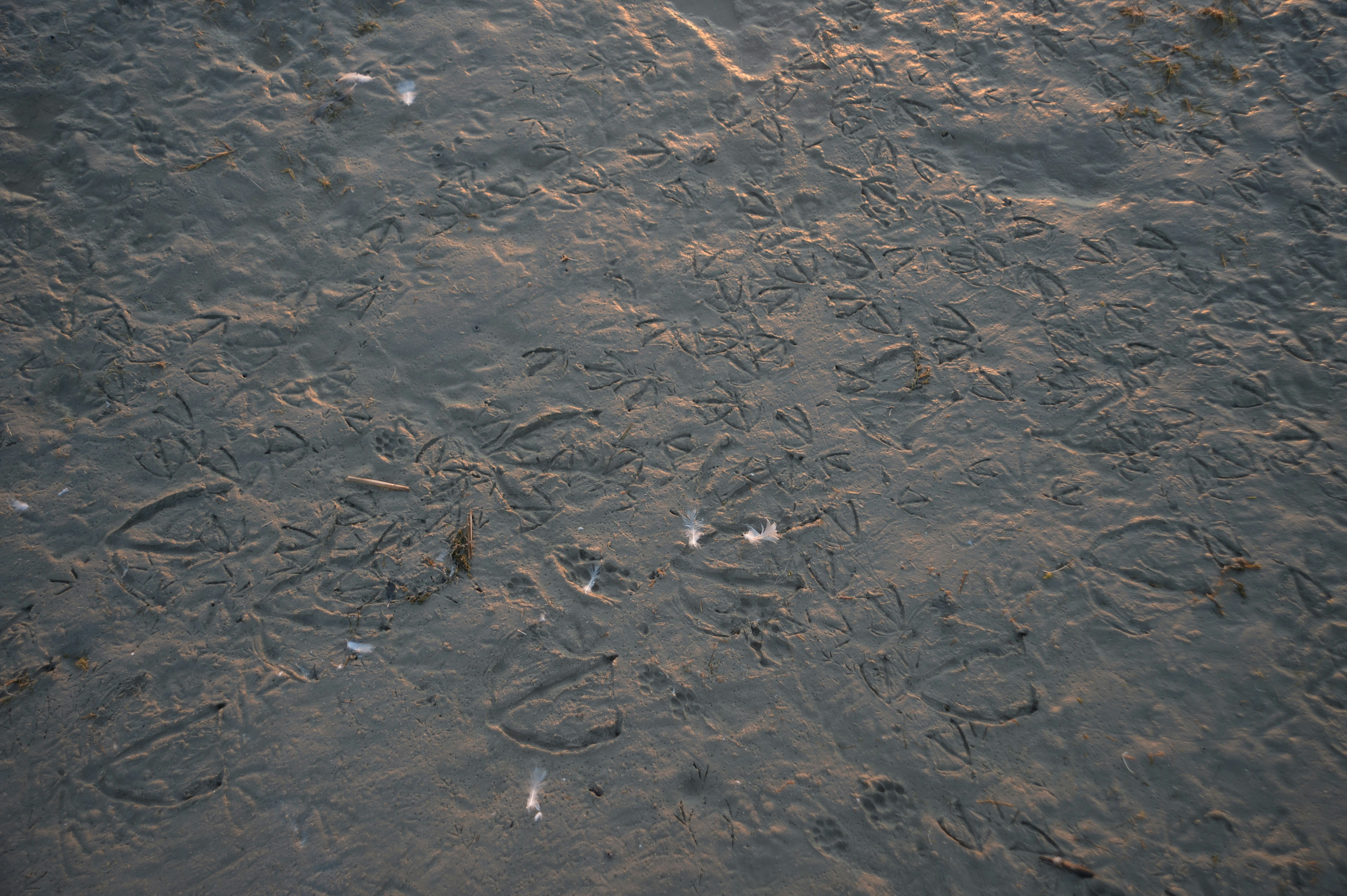 Photo by baliko_andras