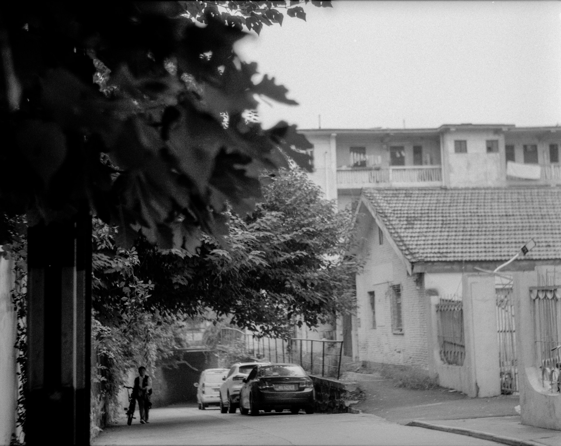 A serene black and white photo of a vintage city street slowly panning from left to right.