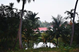 Lush green land plot surrounded by tropical trees in Trat