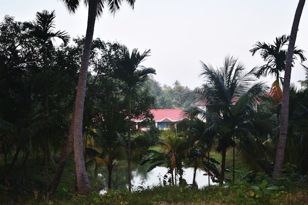 A serene view of a tropical property surrounded by lush greenery.