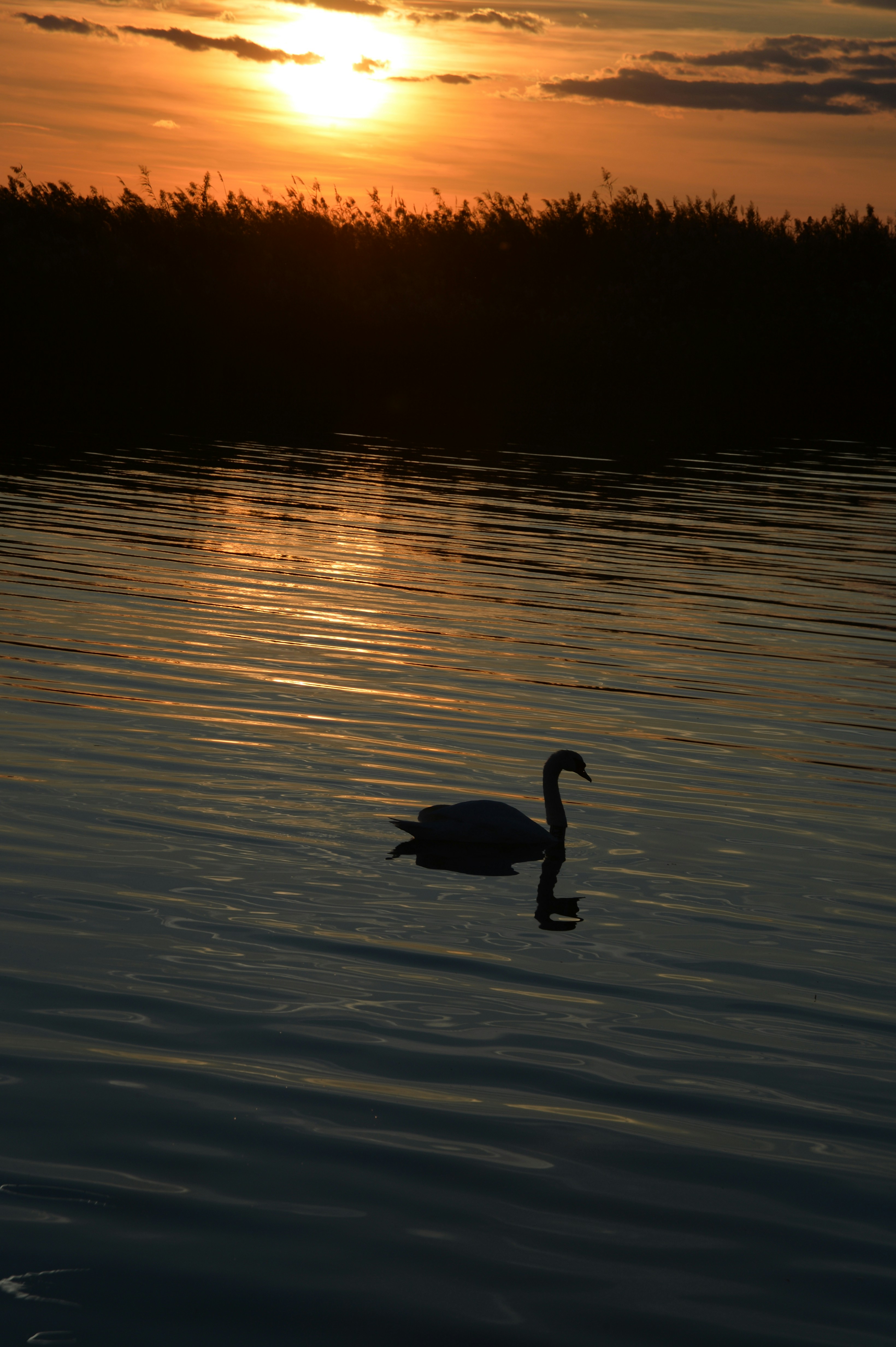 Photo by baliko_andras