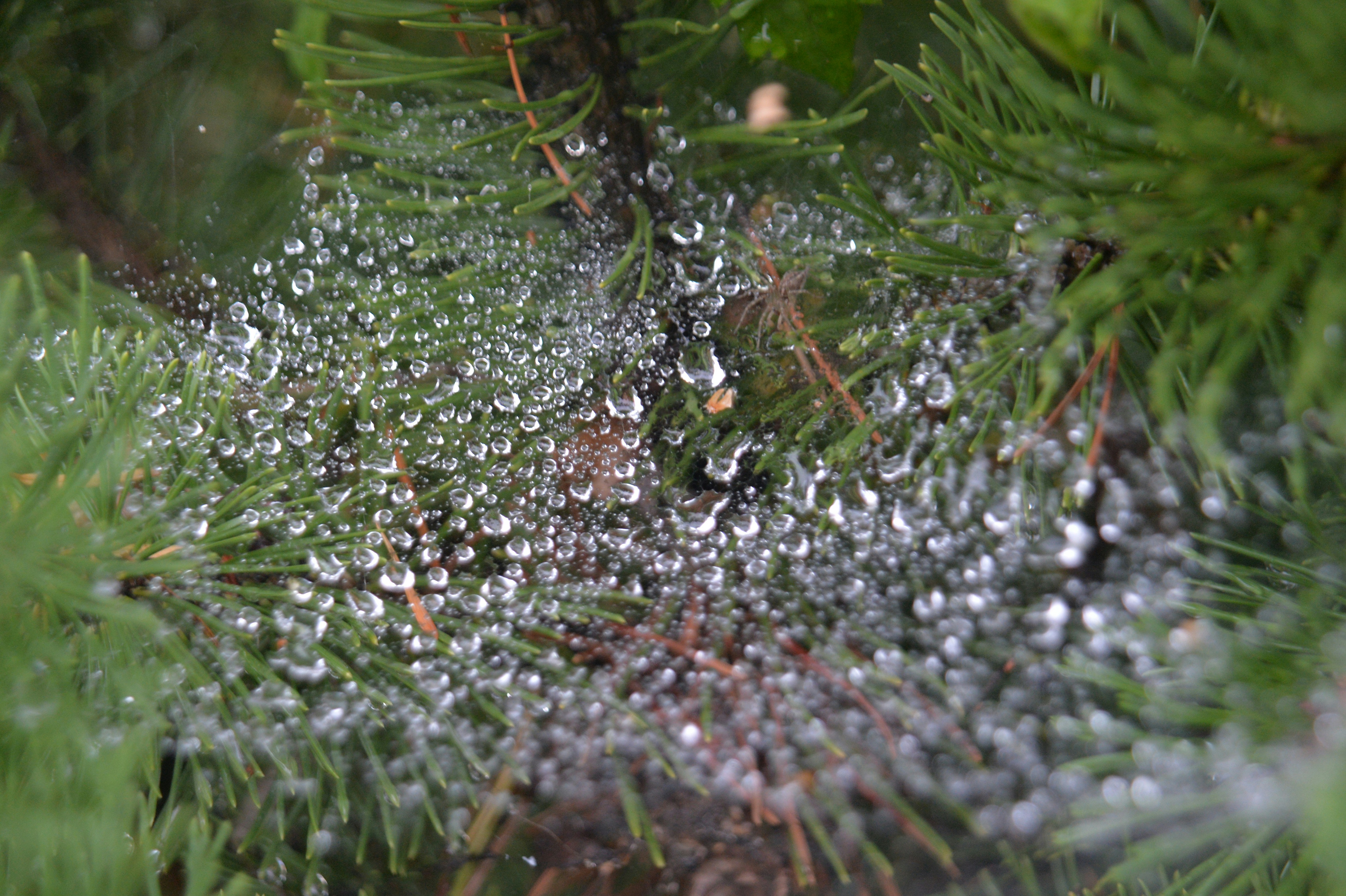 Photo by baliko_andras