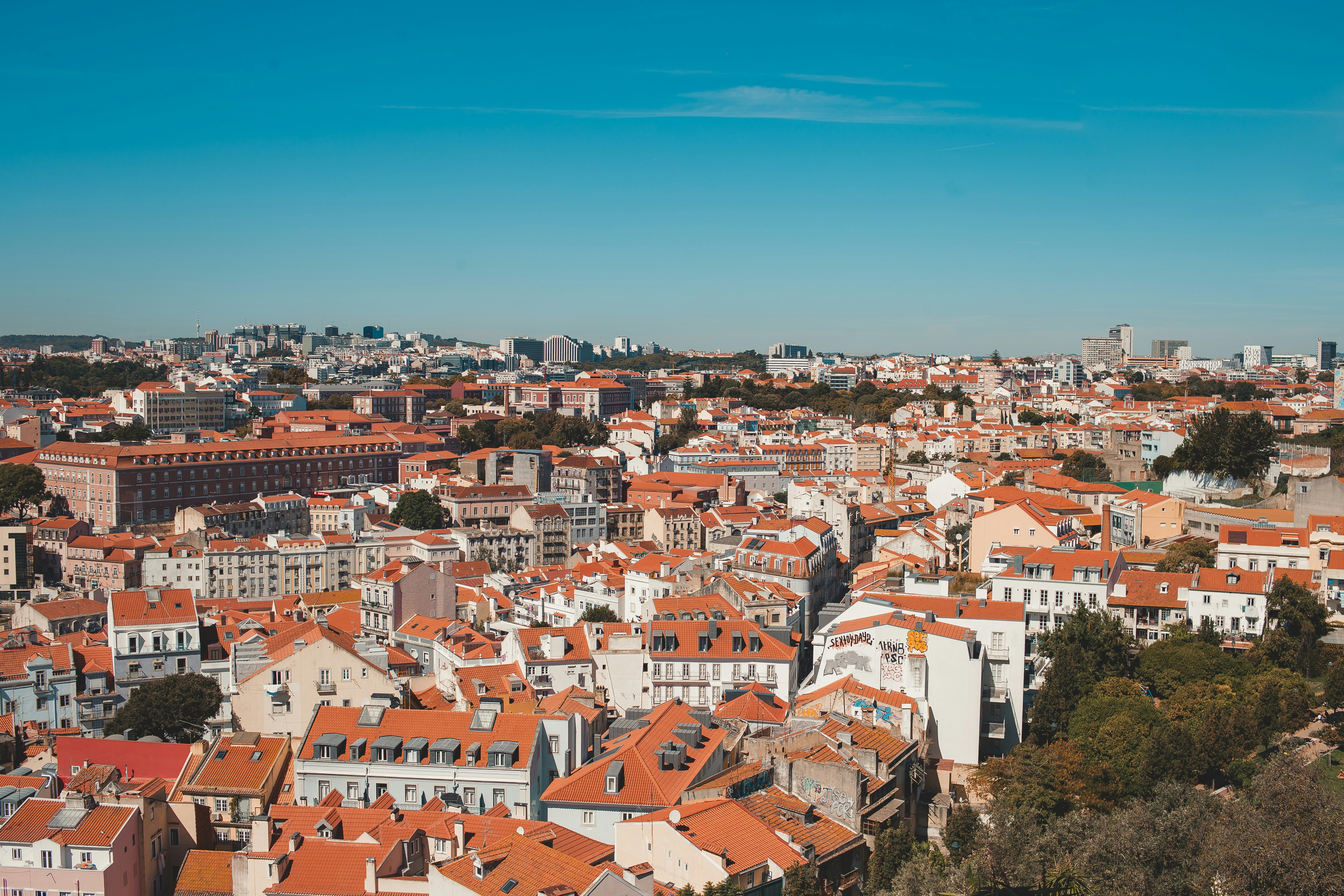 Photo by leticiafracalossi