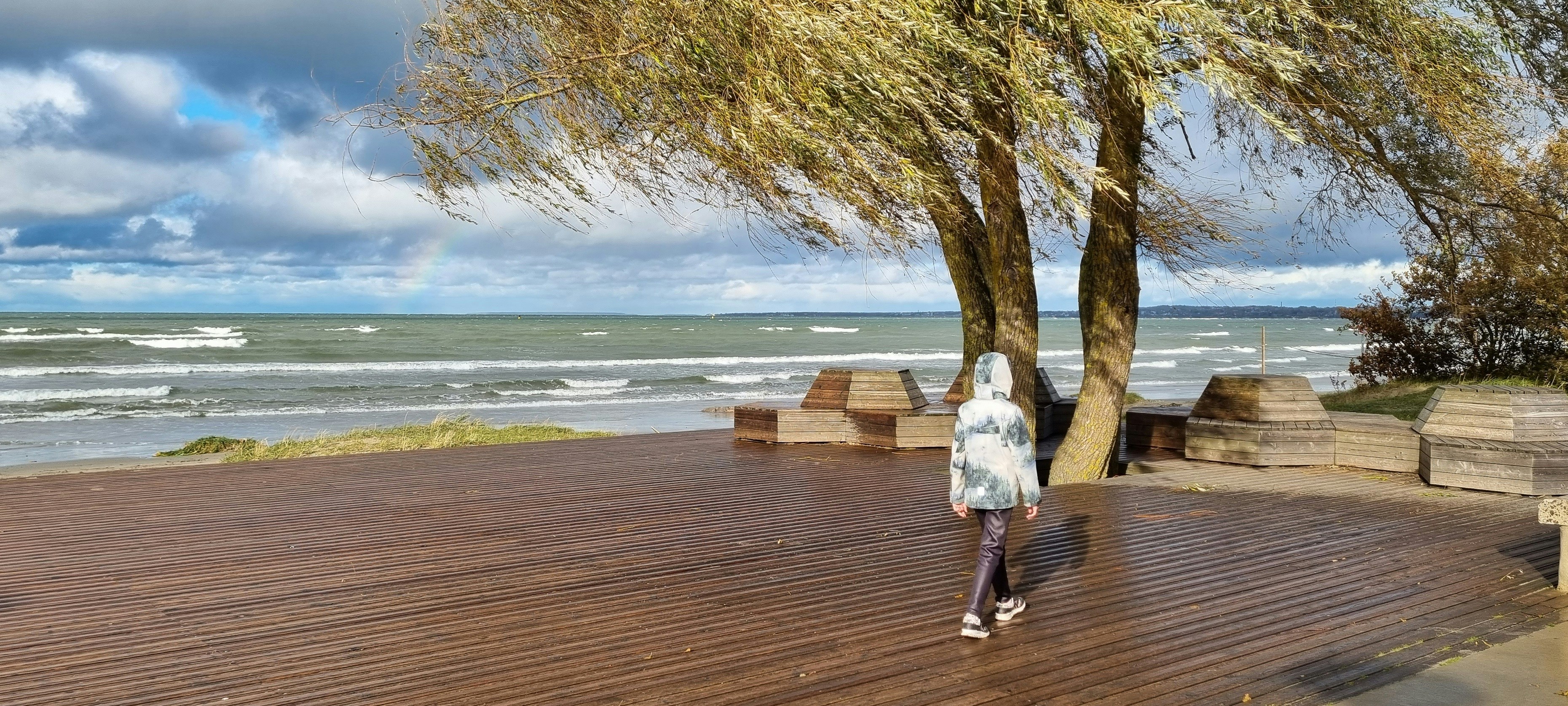 a person standing on a wooden deck next to a tree