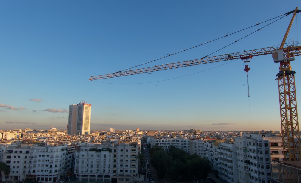 a crane is standing in front of a cityscape