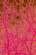 A network of tree branches with an artificial color scheme. The branches are predominantly in bright pink and yellow against a brown background, creating a high contrast abstract visual.