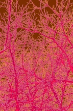 Neural network visualization with bright electric blue and neon green highlights