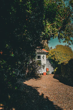 A welcoming front door of a cozy home with a small garden path.