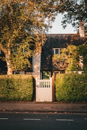 Exterior photo of a quaint cottage surrounded by greenery with warm evening light.