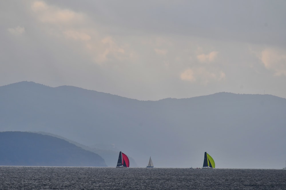 eine Gruppe von Segelbooten, die auf einem großen Gewässer segeln