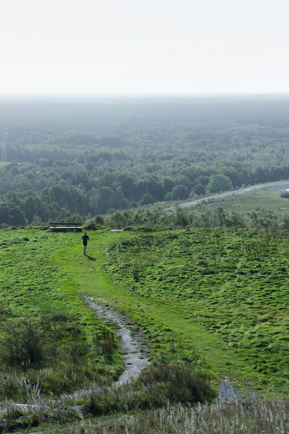 a person walking on a path through a lush green field