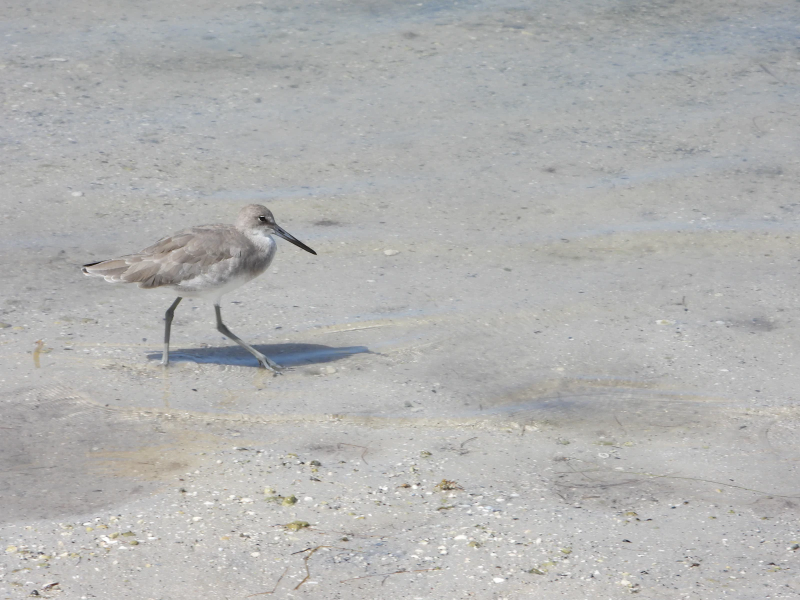 Representative image of the Dunedin area — photo 3