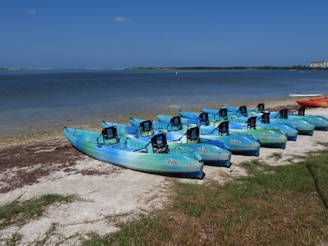 A row of blue and green kayaks is lined up on a shoreline, with calm water stretching out to the horizon. The sky is clear and blue, with a few distant buildings visible across the water. The grassy shore and sandy beach frame the scene, creating a peaceful setting.