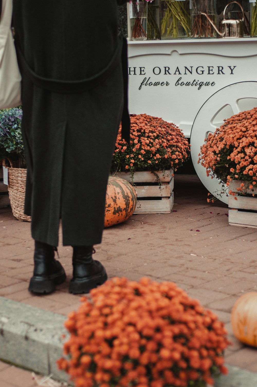 a person standing in front of a display of pumpkins