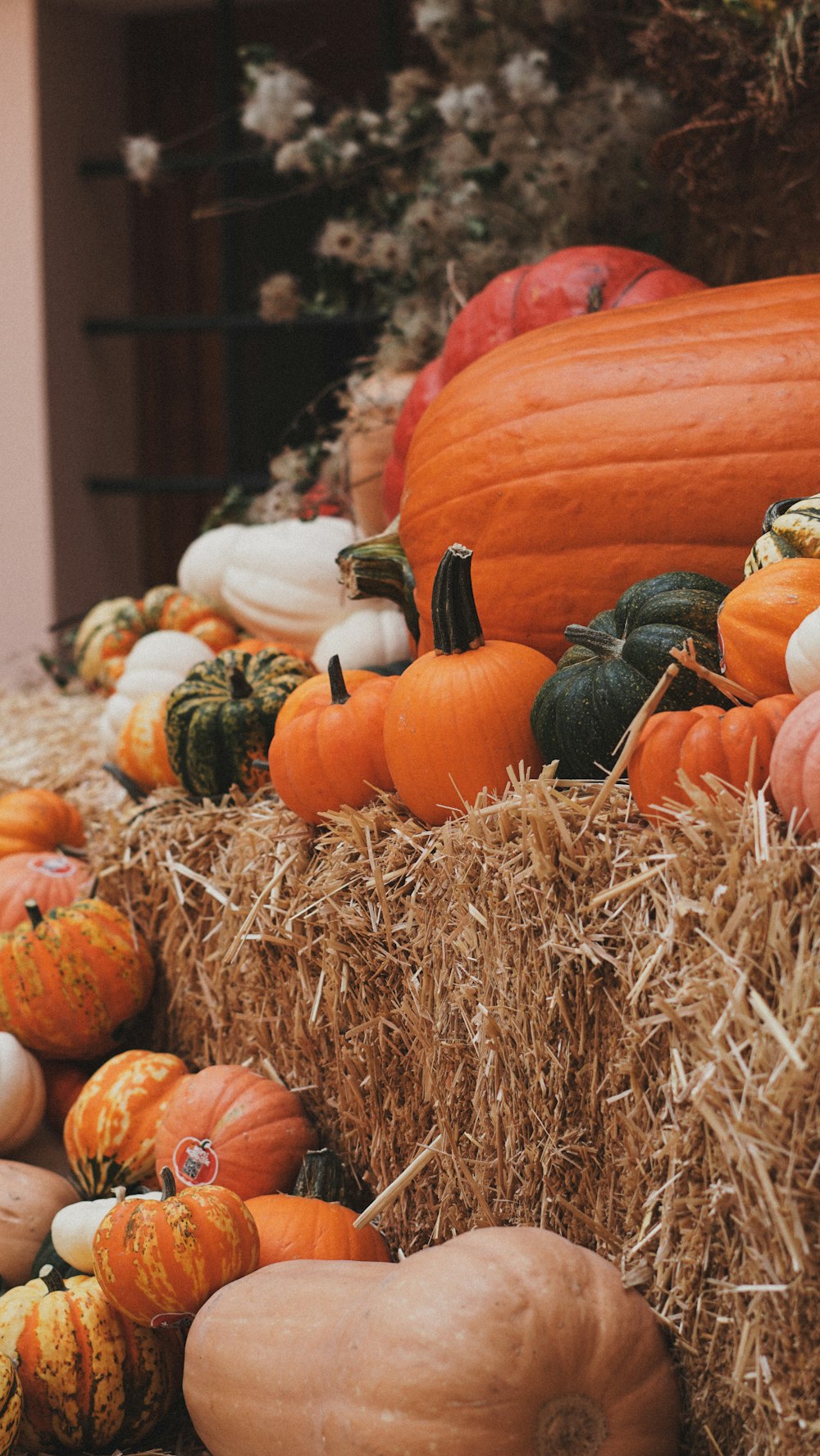 a display of pumpkins and gourds in hay bales