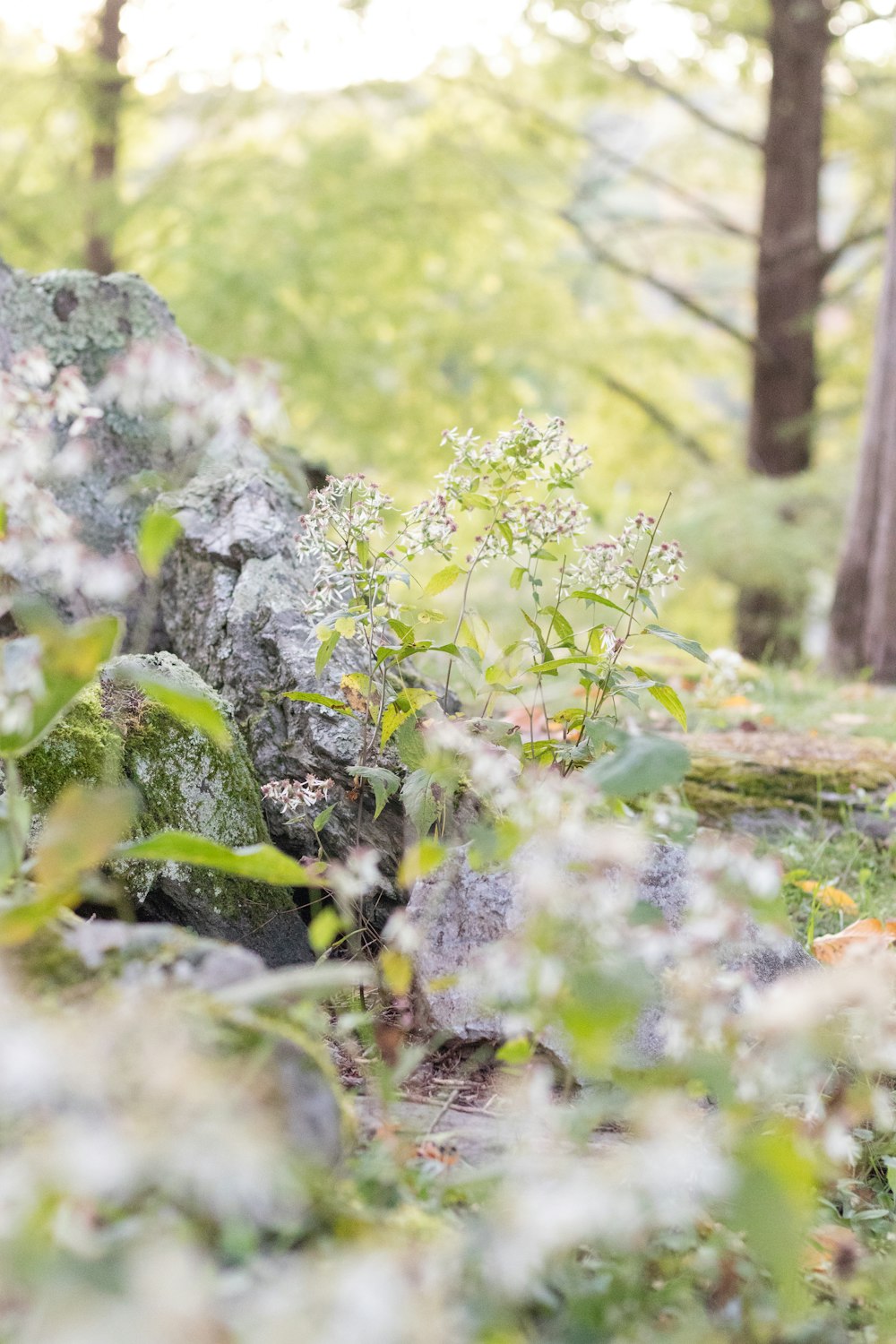 a stone bench in the middle of a forest