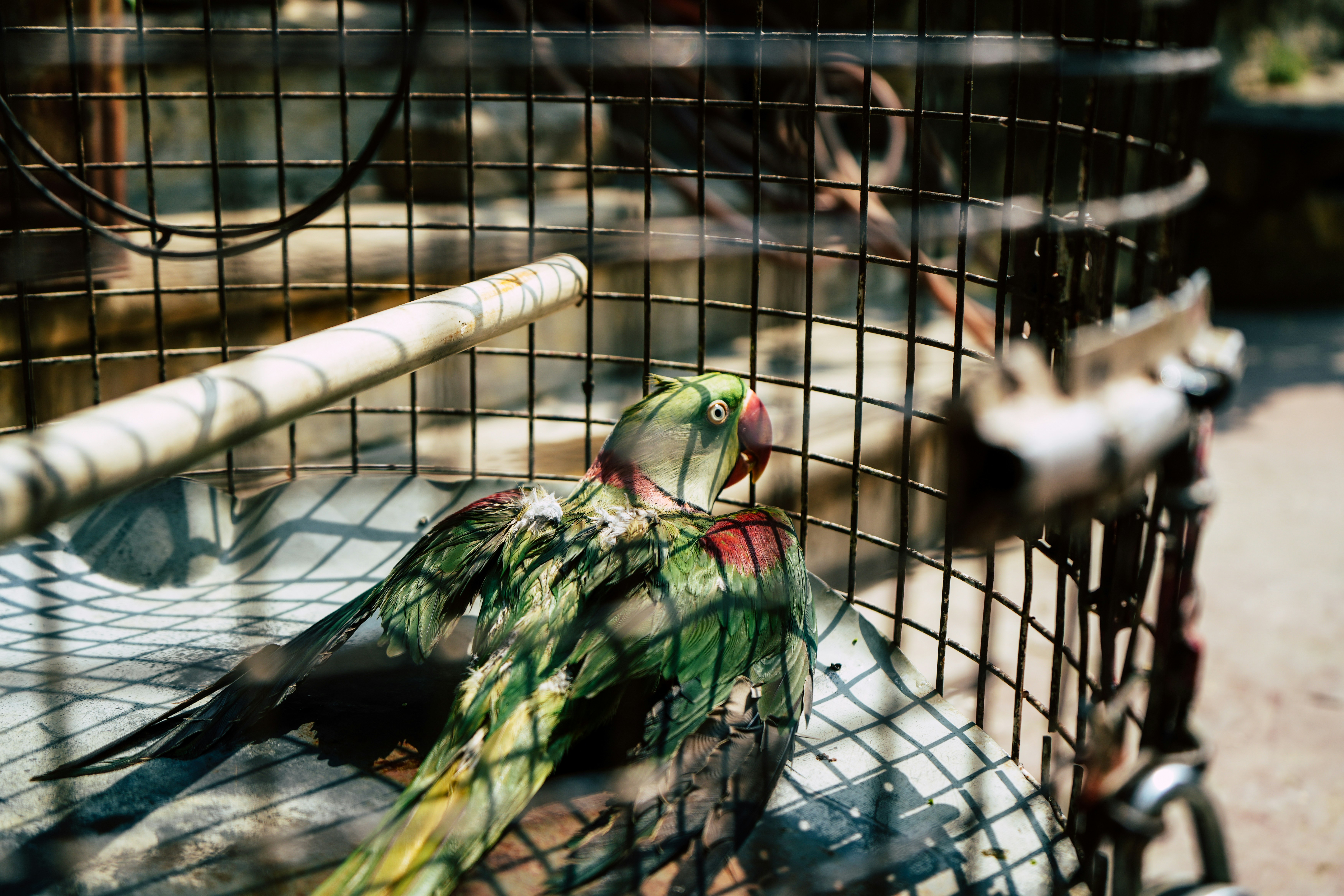 Photo by abhipraya02