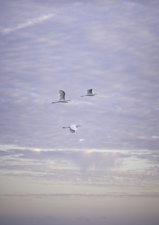 Photo 1697391028039 4b29a4a83606?q=85&w=636&h=455&fit=crop