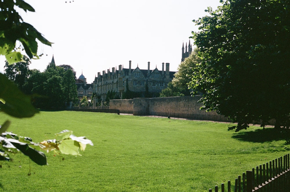 a lush green field with a castle in the background