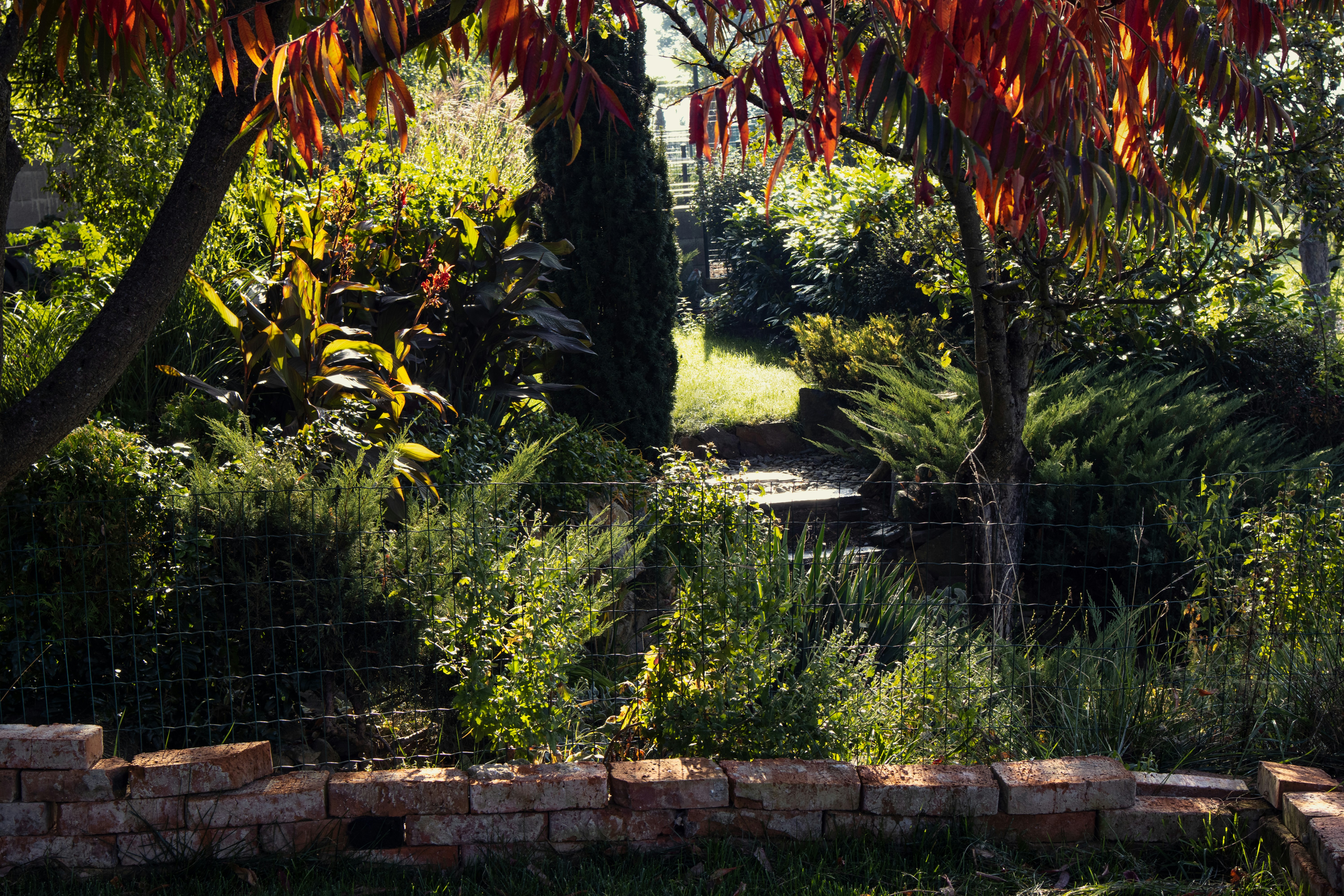 Photo by marko_lengyel