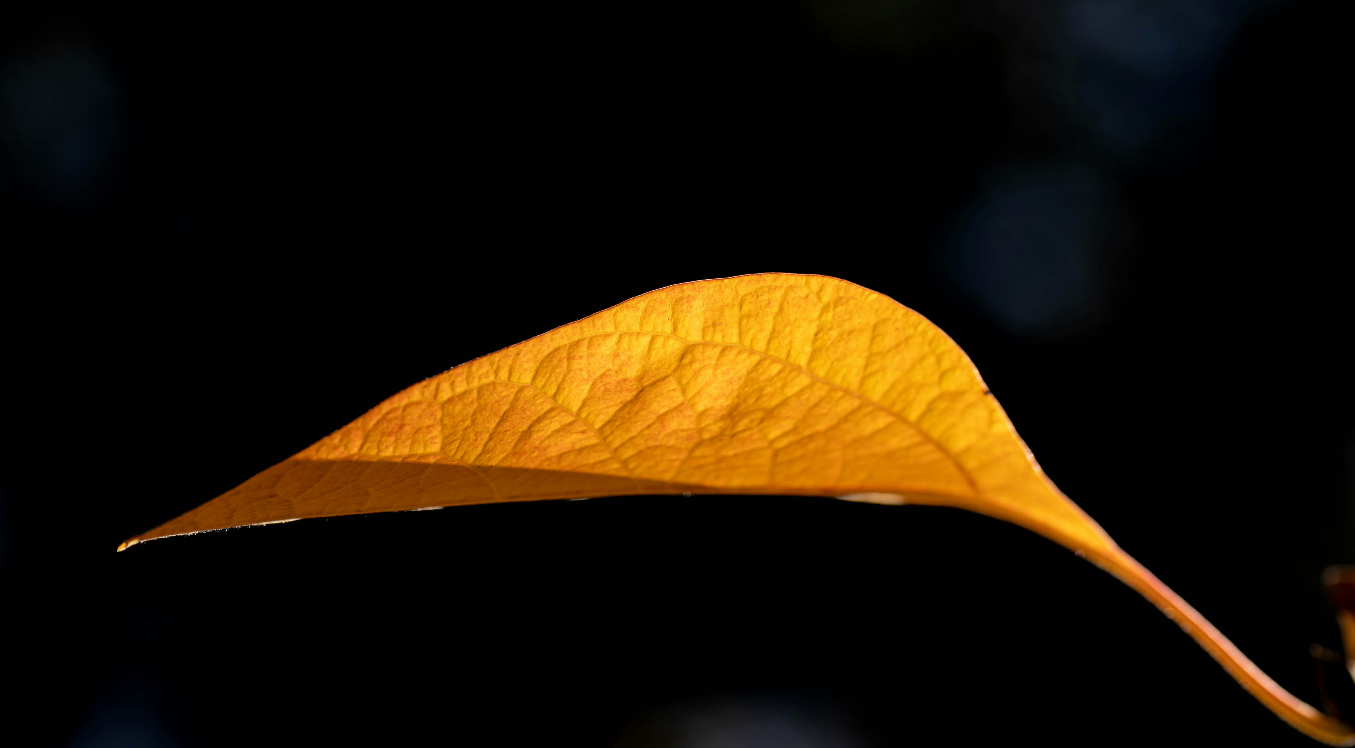 Photo by hdbernd