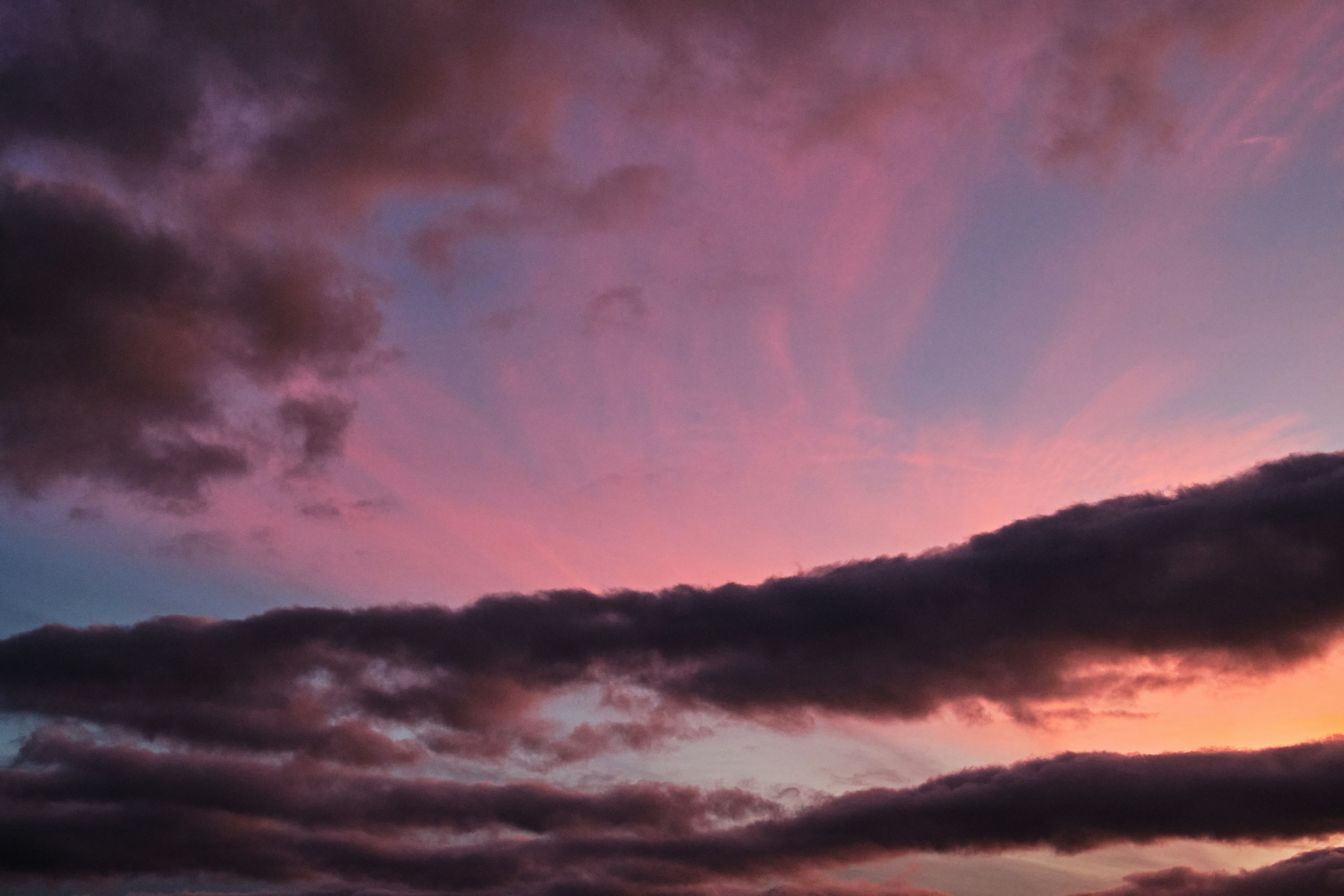 Photo by frostroomhead