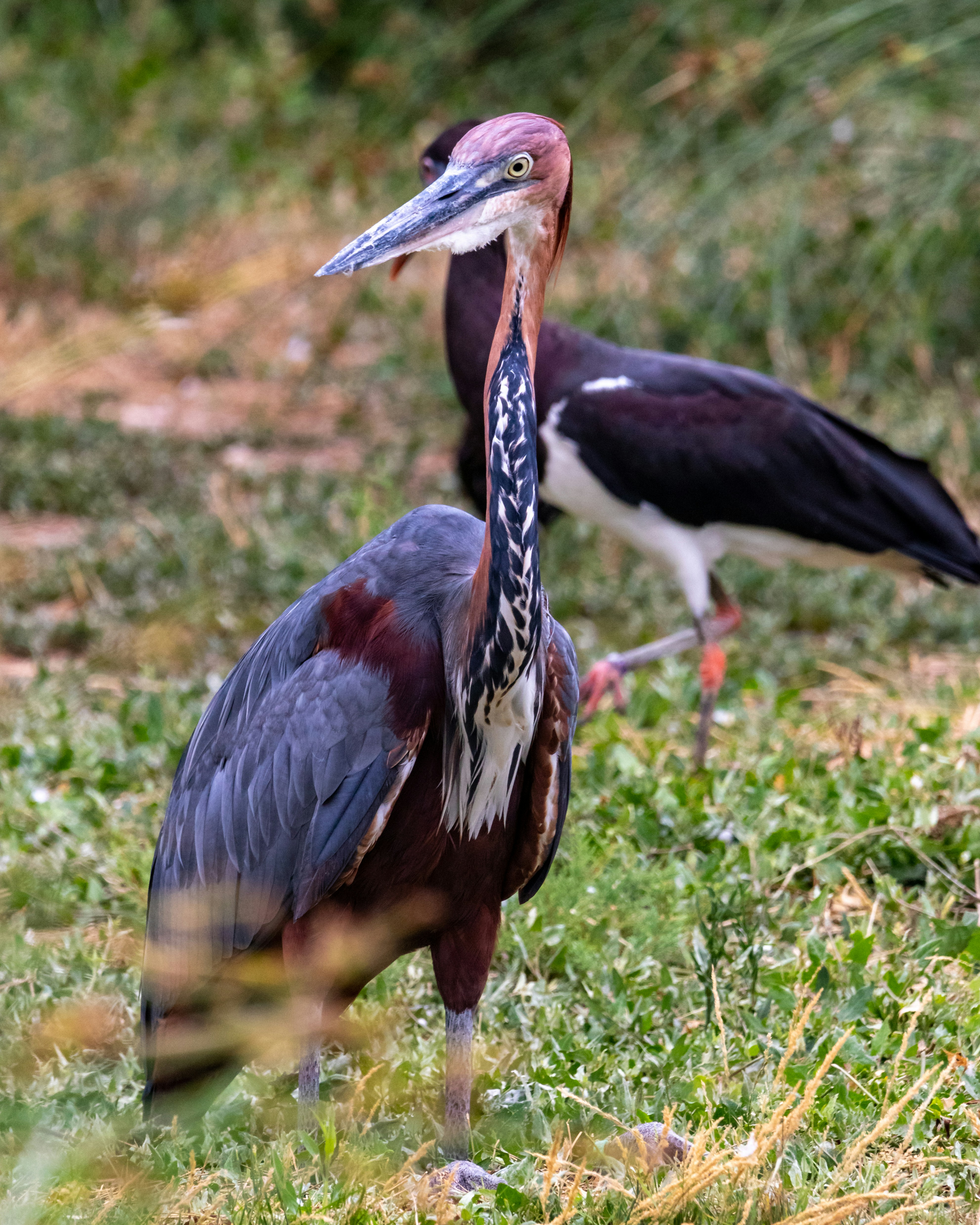 Photo by matthieur68