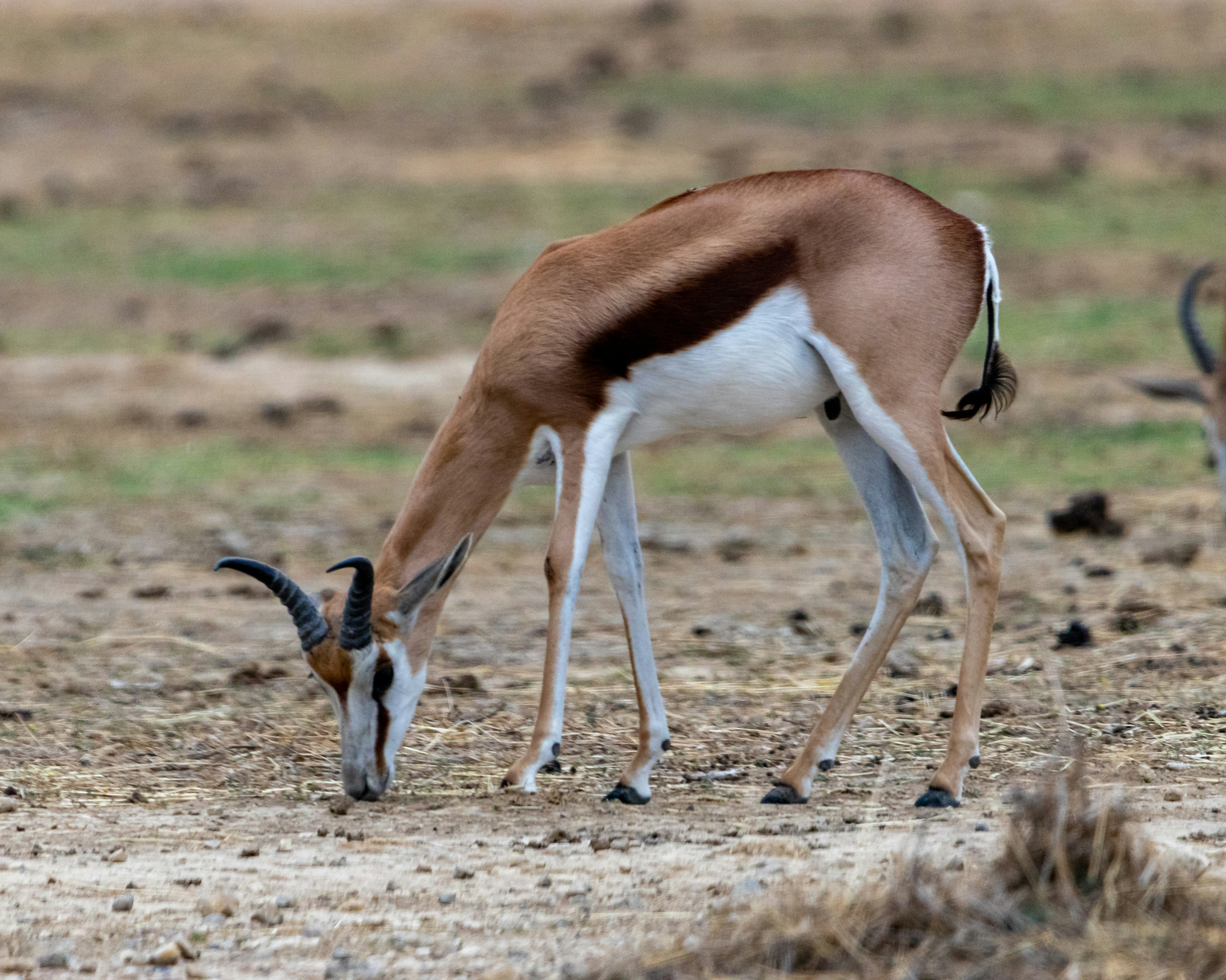 Photo by matthieur68