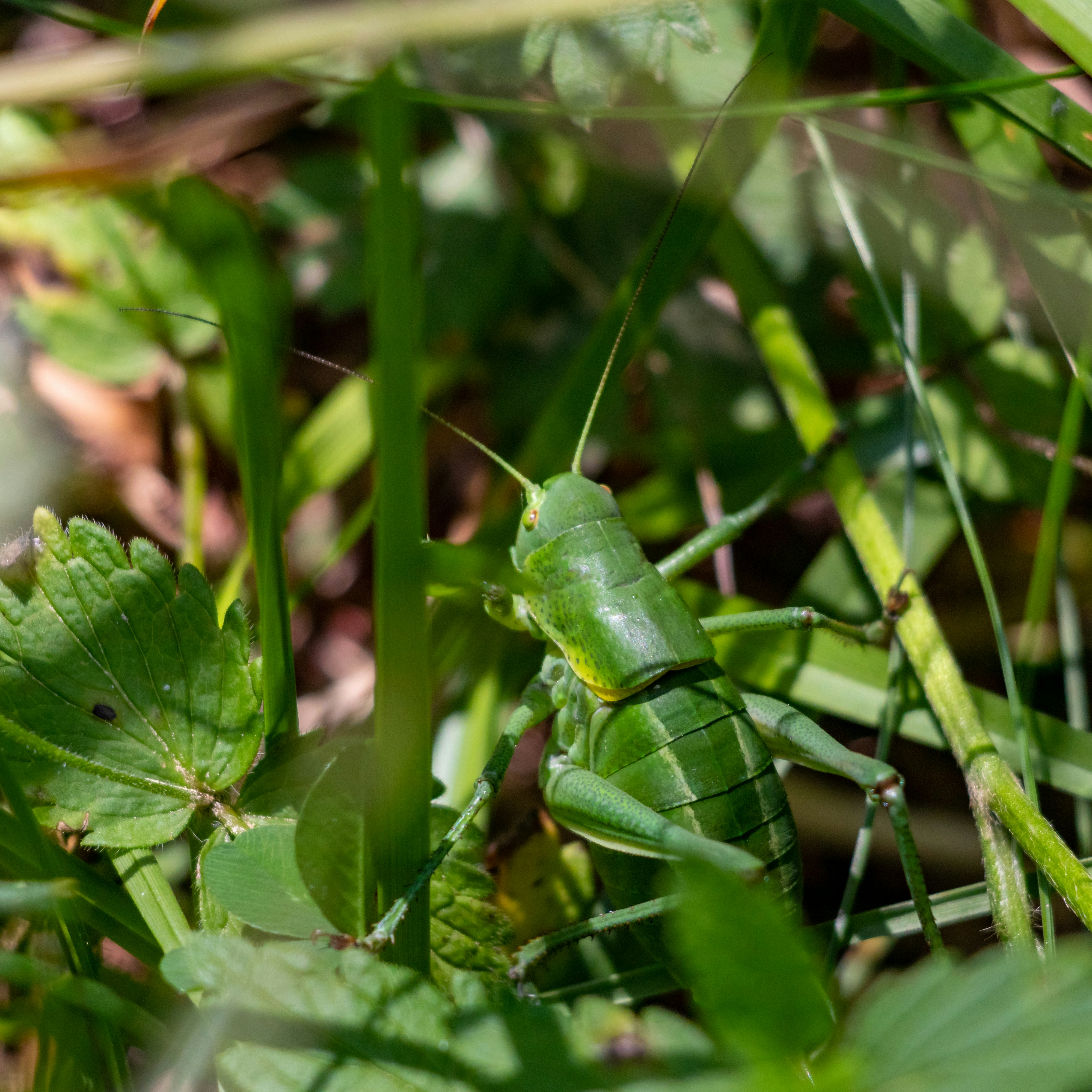 Photo by matthieur68