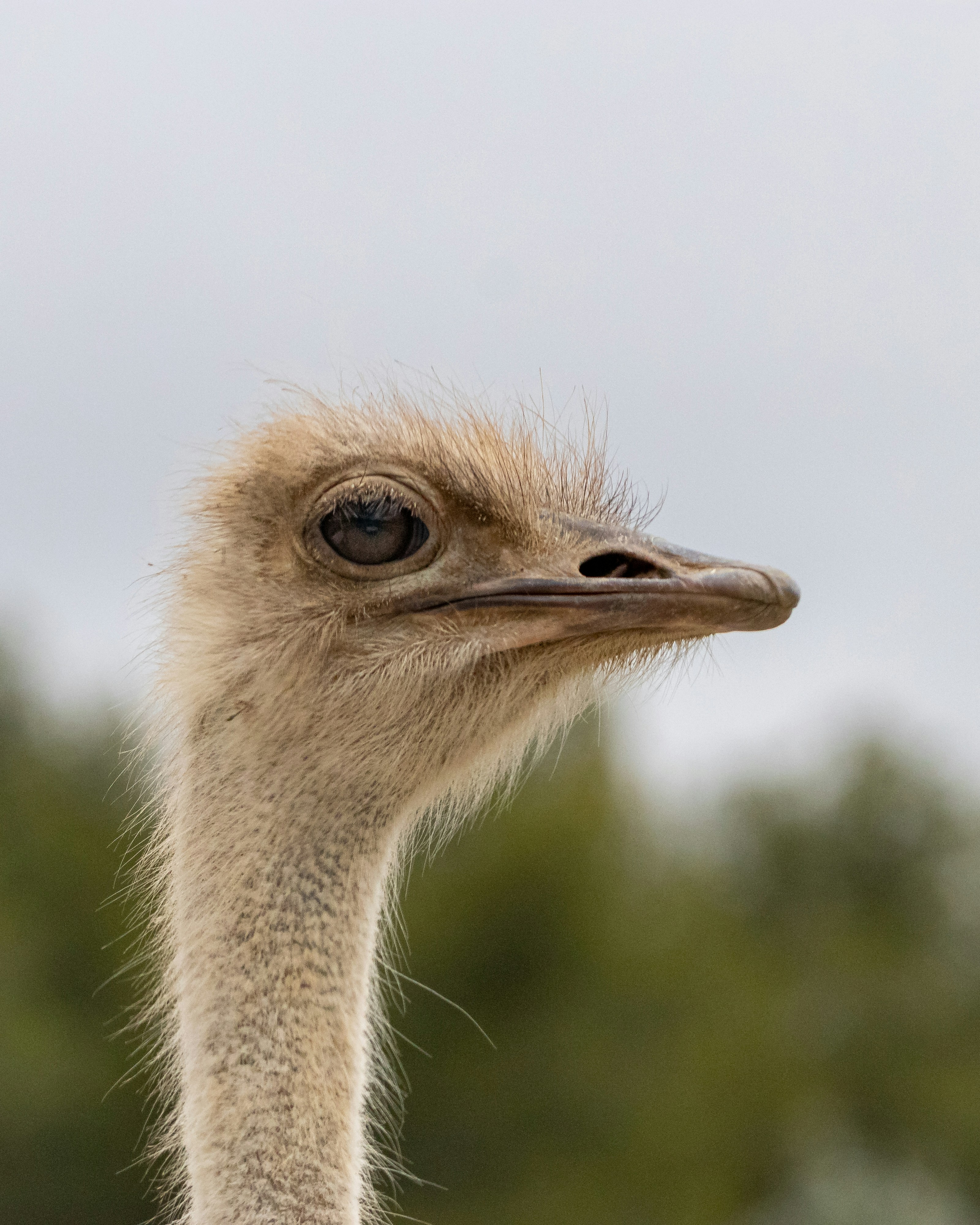 Photo by matthieur68