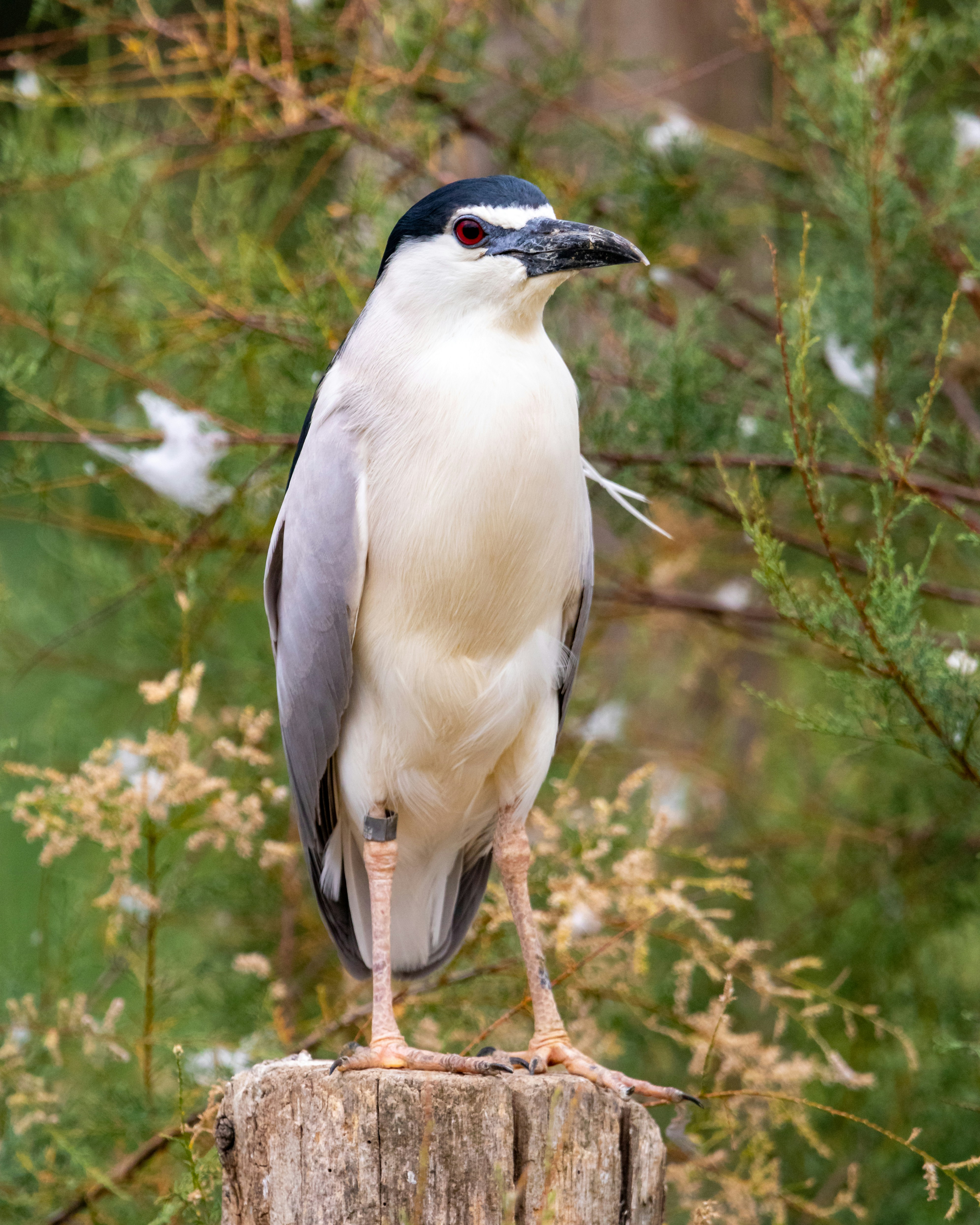 Photo by matthieur68