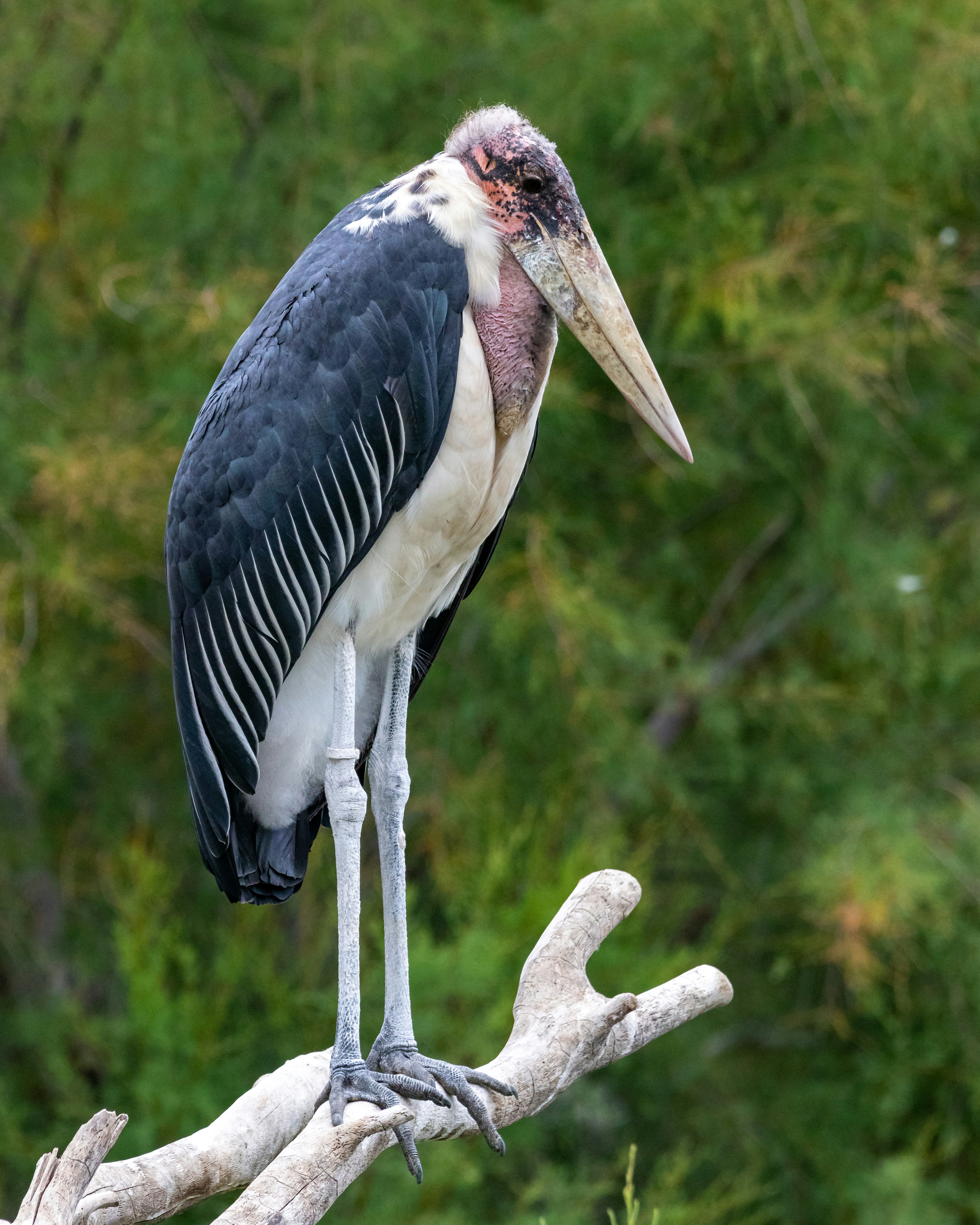 Photo by matthieur68