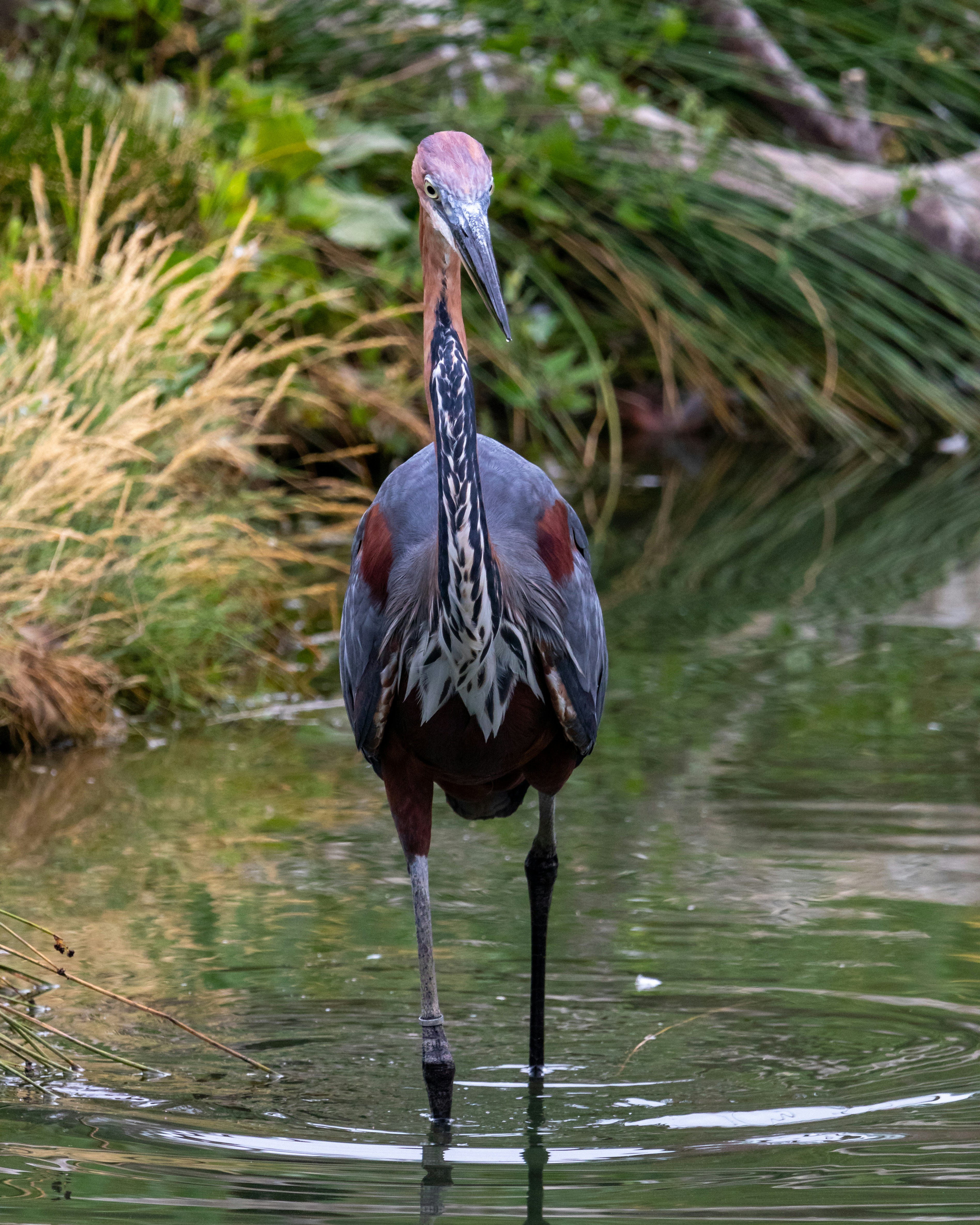 Photo by matthieur68