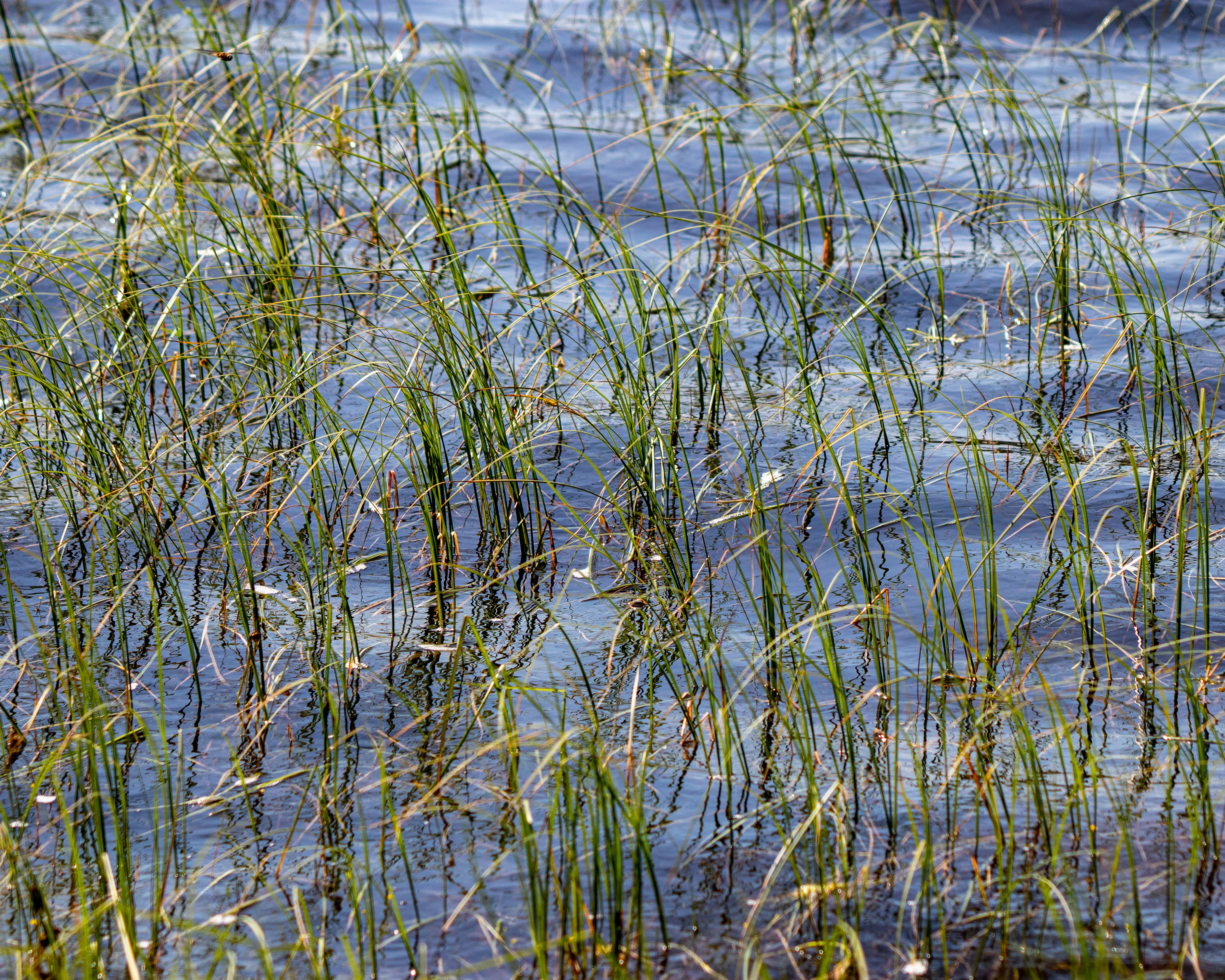 Photo by matthieur68