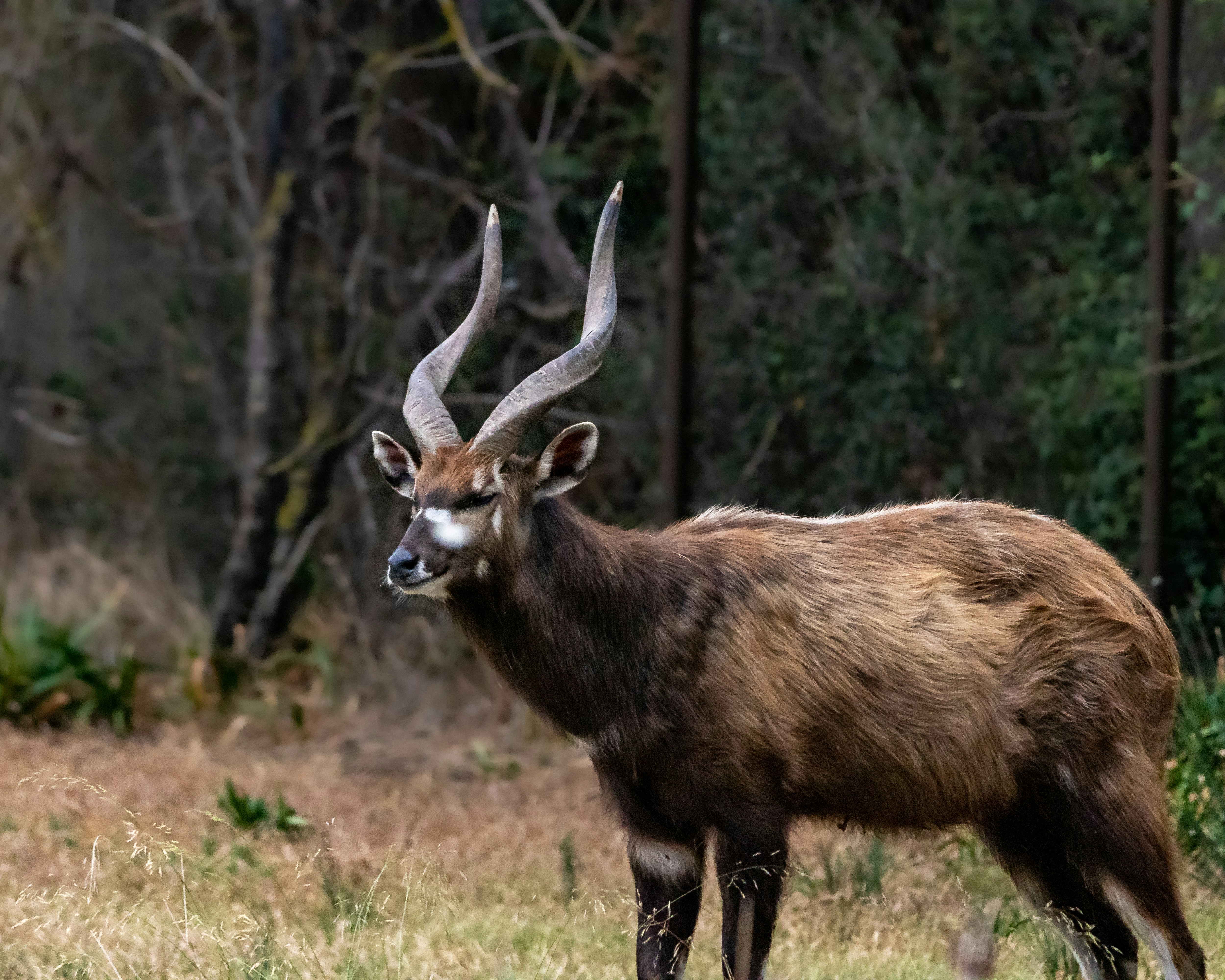 Photo by matthieur68