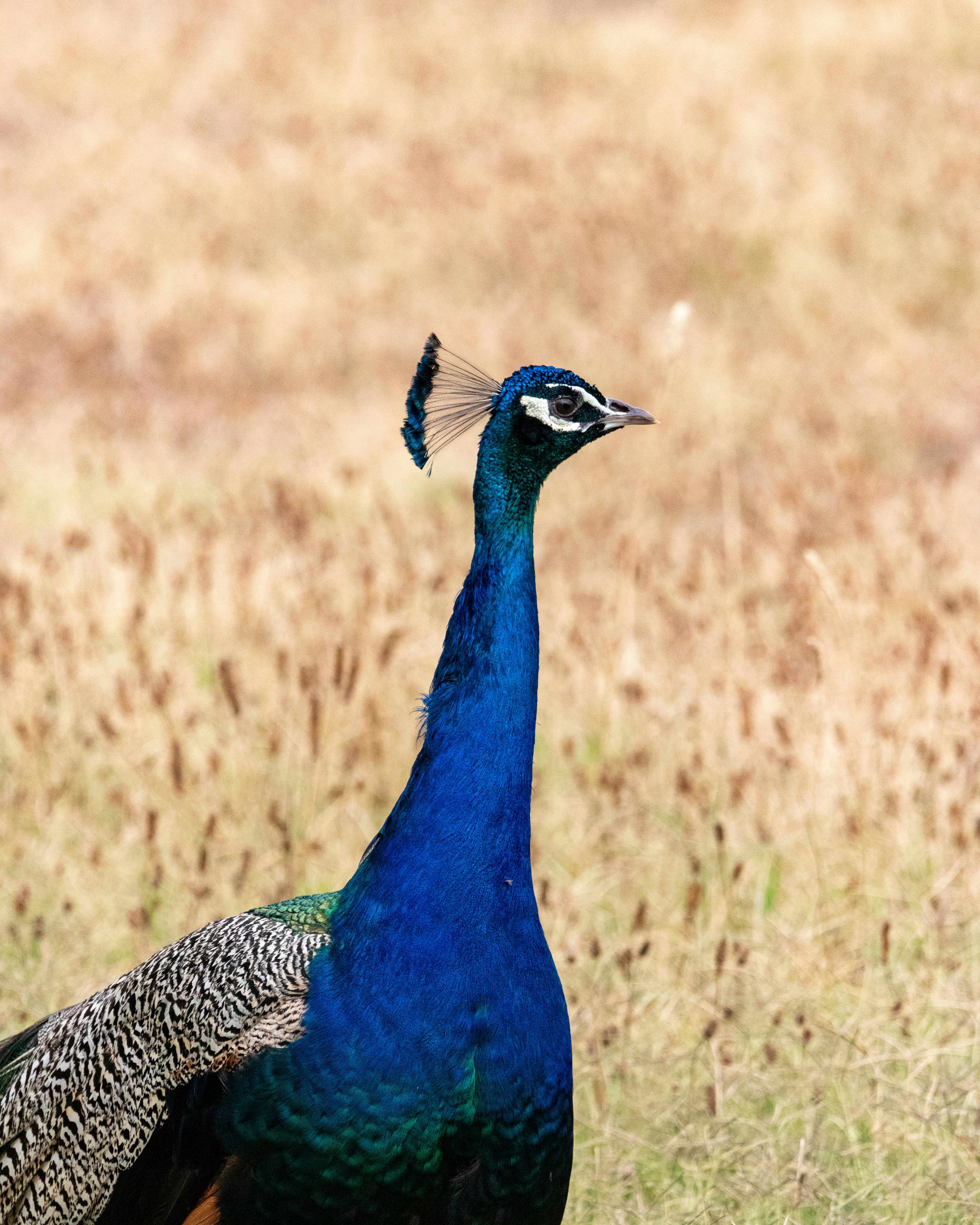 Photo by matthieur68